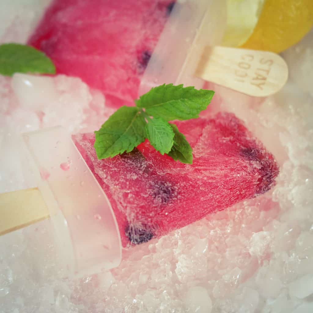 Gin Tonic Eis am Stiel Cooking is love